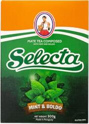 Selecta Menta Boldo Refresca el Doble 0, 5kg