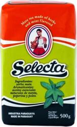 Selecta Menta Peperina Poleo Yerba Mate 0, 5kg