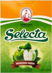 Selecta Manzana Verde 0, 5kg