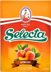 Selecta Albaricoque Apricot 0, 5kg
