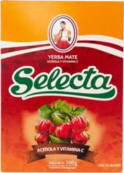 Selecta Acerola Y Vitamina C 0, 5kg