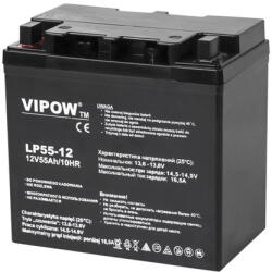 VIPOW 12V 55Ah (BAT0223)