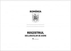  Registru declarații avere copertă imitație piele 100 file (SS31)