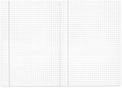 DACO Caiet A5, 48 file, DACO Innobilata CT547 matematica