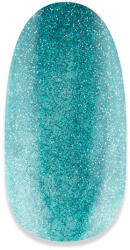 NiiZA Gel Polish 4ml - 319 reflective