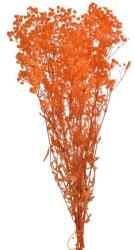  Buchet gipsofila color pentru aranjamente florale (3035)