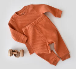 BabyCosy Set bluzita cu maneca lunga si pantaloni lungi din bumbac organic si 5% elastan - Portocaliu BabyCosy (Marime: 9-12 luni)