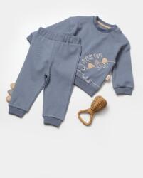BabyCosy Set bluzita cu pantalon Dino, indigo, BabyCosy, 100%bumbac (Marime: 6-9 luni)
