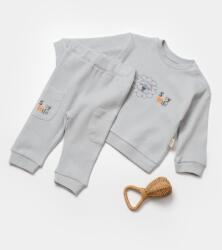 BabyCosy Set bluzita cu pantalon Lion, gri, BabyCosy, 100%bumbac (Marime: 9-12 luni)