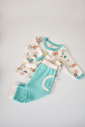 BabyCosy Set bluzita cu maneca lunga si pantaloni lungi, 100% bumbac organic, BabyCosy, Verde (Marime: 6-9 luni)
