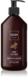 KESEM Sea Buckthorn șampon conține cătină 500 ml