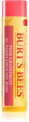 Burt's Bees Lip Balm Pink Grapefruit frissítő balzsam az ajkakra 4.25 g