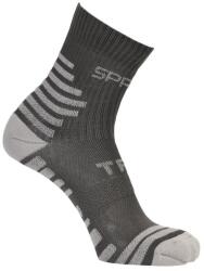 Spring Revolution 2.0 Șosete Spring Revoluti 2.0 Race Protective gray S