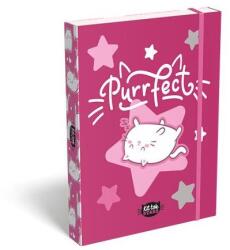 LIZZY Cutie pentru caiete, A5, LIZZYSULI, „Kit tok Stars Purrfect