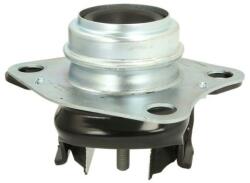 REINHOCH Suport motor REINHOCH RH11-2018 (RH11-2018) - fixbox