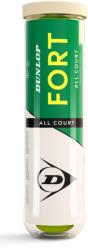 Dunlop Mingi de tenis Fort All Court TS