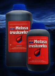 Boland Melasa Eper 1000ml (ME-TR 051)