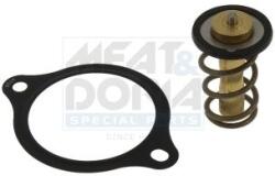 Meat & Doria Termostat, lichid racire MEAT & DORIA 92967 (92967)