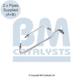 Bm Catalysts Conducta de presiune, senzor de presiune (filtru particule) BM CATALYSTS PP11607C (PP11607C)