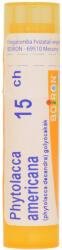 Boiron Phytolacca Americana C15 1x 4g Boiron