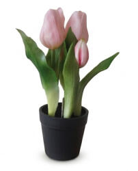  Művirág cserepes gumi tulipán - rózsaszín