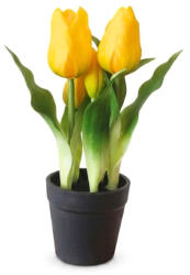  Művirág cserepes gumi tulipán - citromsárga