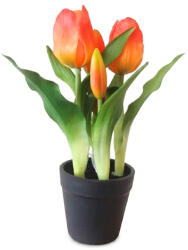  Művirág cserepes gumi tulipán - narancssárga