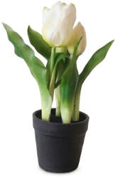  Művirág cserepes gumi tulipán - fehér