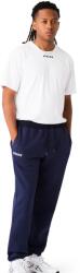 CCM Pantali pentru bărbați Team Fleece Jogger Navy L