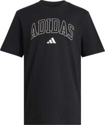 Adidas Collegiate Tee (kq8951)