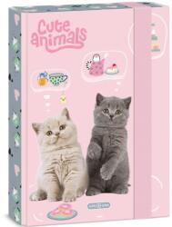 Ars Una Ars Una Cute Animals - Tea Party A5-ös füzettartó box (ARSUNA_50865321)
