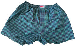 Pegasus Bio Boxer Bărbătesc Verde în Carouri boxer-124 (boxer-124)
