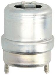 REINHOCH Suport motor REINHOCH RH11-0129 (RH11-0129) - fixbox