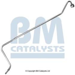 Bm Catalysts Conducta de presiune, senzor de presiune (filtru particule) BM CATALYSTS PP11461B (PP11461B)
