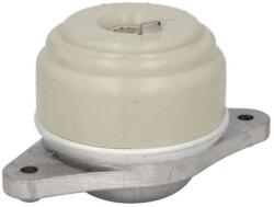 REINHOCH Suport motor REINHOCH RH11-3098 (RH11-3098) - fixbox