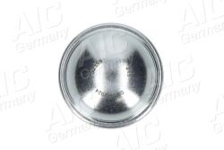 AIC capac de protectie, butuc roata AIC 52359 (52359)