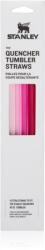 Stanley The Quencher Tumbler Straws pai de rezervă 1180 ml Pink 4 buc