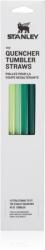 Stanley The Quencher Tumbler Straws pai de rezervă 1180 ml Green 4 buc