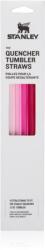 Stanley The Quencher Tumbler Straws pai de rezervă 890 ml Pink 4 buc