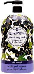 Naturaphy Tusfürdő és sampon 2in1 fekete ribizli és aloe vera Naturaphy 1000ml 30083 (5908311416945)