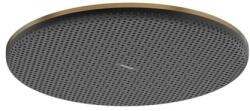 Hansgrohe Raindance Alive S 300 1jet EcoSmart+ (24523140)