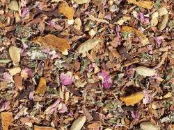  Classic Chai Organic tea 21181 (0010015358)