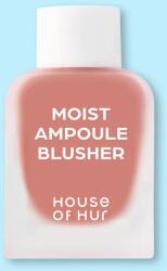 House of HUR Fard de obraz lichid Moist Ampoule Blusher - 10 ml No. 01 Nude Beige