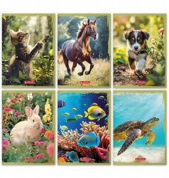 Herlitz Animals füzet A5 16k. 70g színes kockás Herlitz (400196855) (400196855)