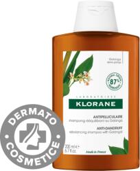 Klorane Sampon antimatreata cu galangal, 200ml, Klorane