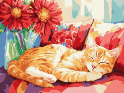 Ideyka Festés számok szerint - Nappali Álom 30x40 cm (KHO6709)