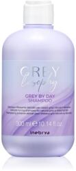 Inebrya Greylosophy Grey By Day Shampoo șampon nuanțator pentru par grizonat 300 ml