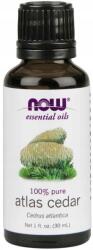 NOW 100% Atlasz Cédrus Illóolaj 30 ML (7526)