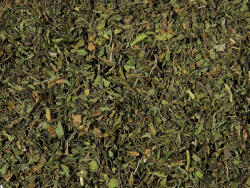  Fodormenta tea (Nana-Mint) 22498 (6420000510)