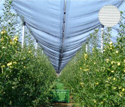 RURIS Plasa antigrindina RURIS 35200, HDPE, verde negru, 4 x 50 m (35200PLS24A)